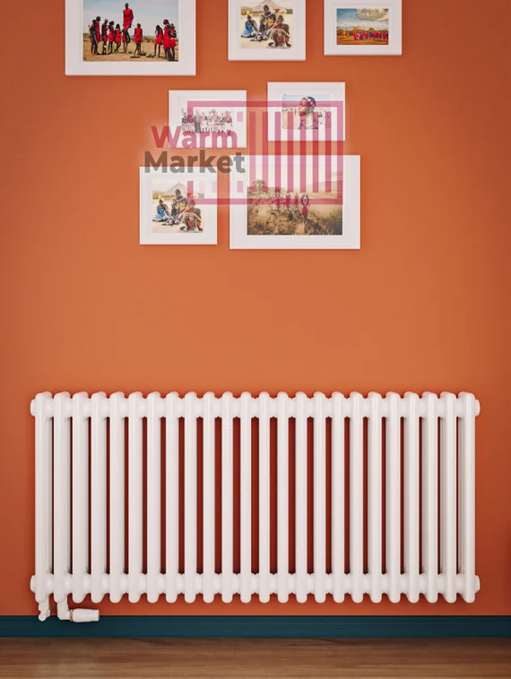 Трубчатый радиатор Solira 3057 N69 твв нижнее подключение с термостатикой, белый (RAL 9016)