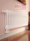 Axxinot Sentir 2040 - стальной трубчатый радиатор, нижнее подключение с термостатикой N69 твв