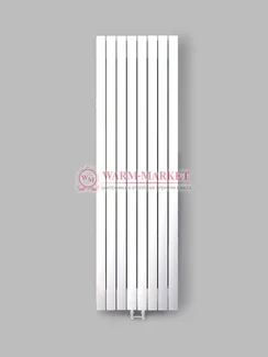 Steel V 60х30 2000 - вертикальный трубчатый дизайн-радиатор, 6 секций