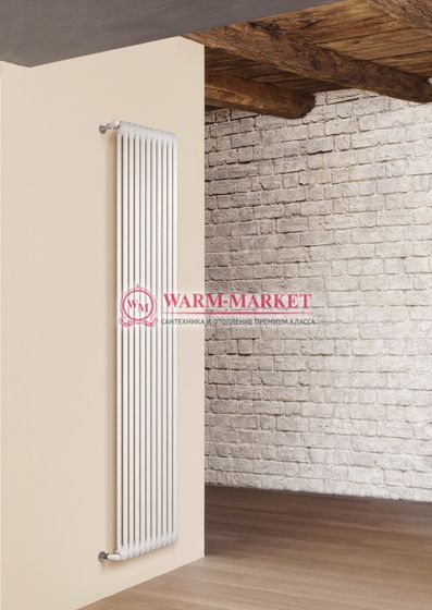 Вертикальный трубчатый радиатор Irsap Tesi RT 21800-10 №30, двухтрубный с боковым подключением