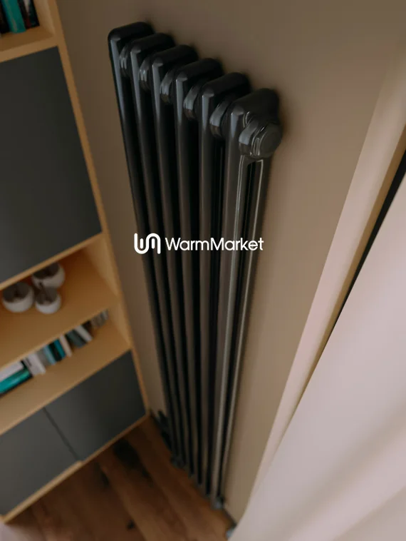 Bareng Softy Electric 2180 - электрический вертикальный двухтрубный трубчатый радиатор высотой 1800 мм