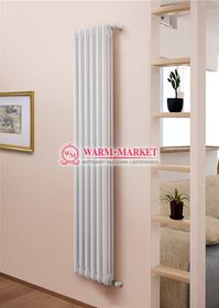 Вертикальный трубчатый радиатор Purmo Delta Lazerline 3180-6 секций, трехтрубный с боковым подключением.