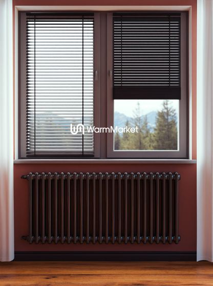 Bareng Softy 2060 - двухтрубный трубчатый радиатор высотой 600 мм, боковое подключение