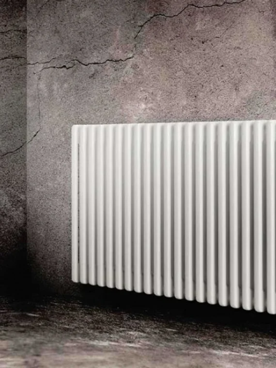 Вертикальный трубчатый радиатор Dia Norm 2900 двухтрубный