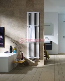 Вертикальный трубчатый радиатор Zehnder 4250 V002 с нижним подключением