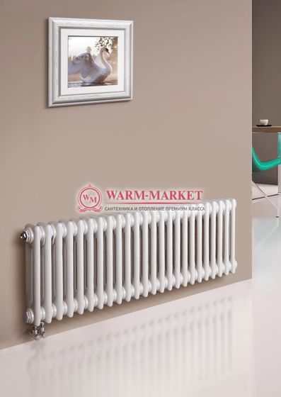 Трубчатый радиатор Dia Norm 2057-24 секции, двухтрубный с нижним правым/левым подключением.