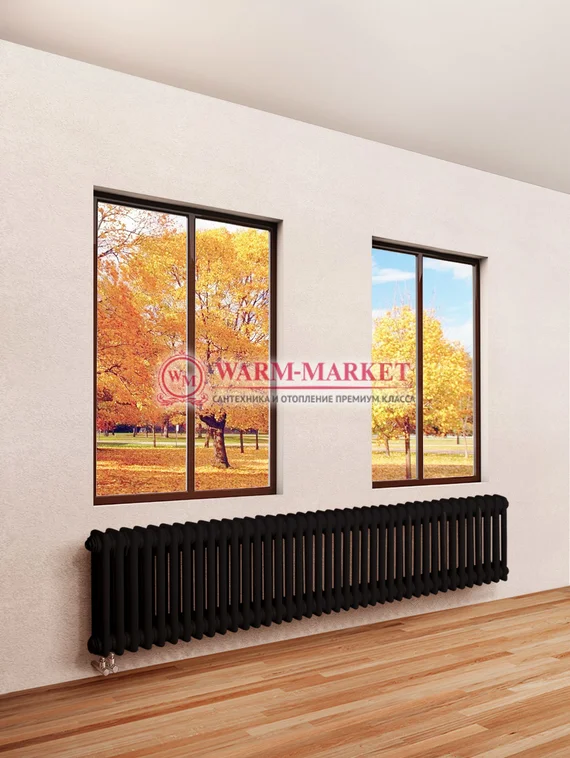 Трубчатый радиатор Dia Norm 2057 двухтрубный с нижним правым/левым подключением черного цвета