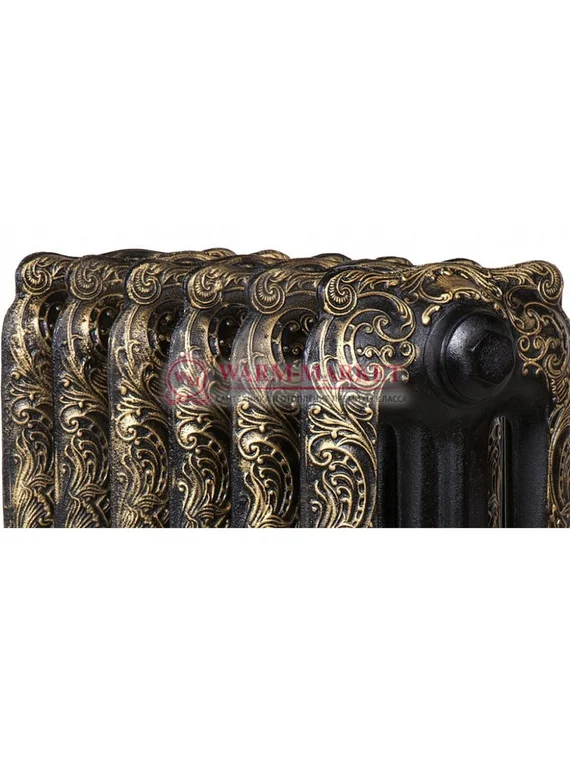 Чугунный радиатор Chappee Floreal 750