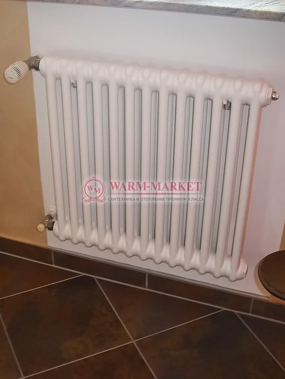 Трубчатый радиатор Arbonia 2057 № 12 3/4 с боковым подключением