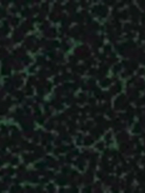 Античный зеленый / C10 Бесплатно