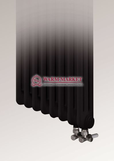 Трубчатый радиатор Dia Norm 2057 двухтрубный с нижним правым/левым подключением черного цвета