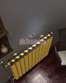 Горизонтальный дизайн радиатор Anit Pioneer 500 анодированный алюминий цвет золото