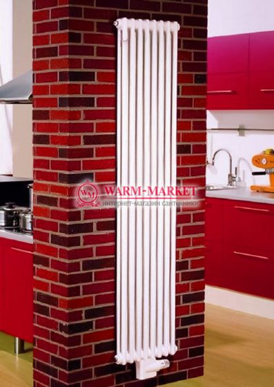 Вертикальный трубчатый радиатор Dia Norm 2180 двухтрубный, нижнее центральное подключение