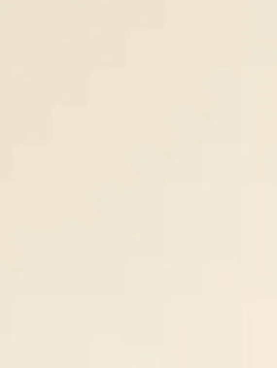 Муар слоновая кость / C19 Бесплатно