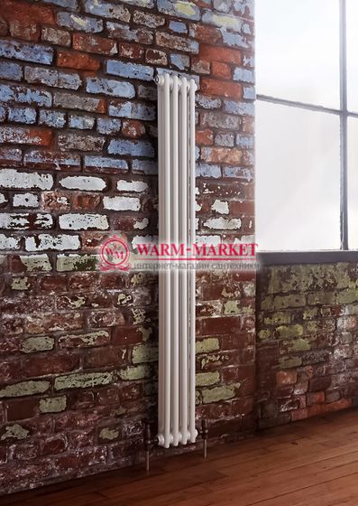 Вертикальный трубчатый радиатор Dia Norm 2180 двухтрубный, боковое подключение