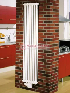Вертикальный трубчатый радиатор Zehnder 4200 V002 с нижним подключением