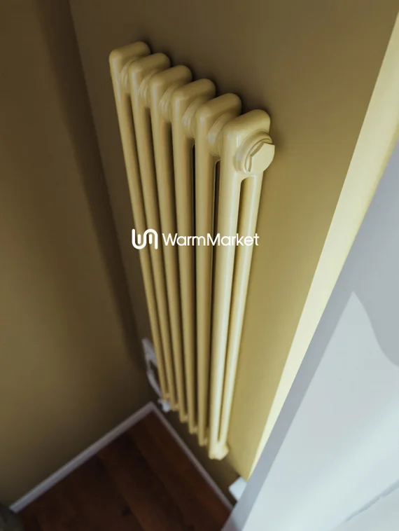 Bareng Softy Electric 2120 - электрический вертикальный двухтрубный трубчатый радиатор высотой 1200 мм