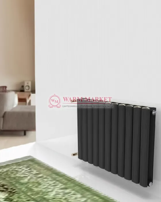 Горизонтальный дизайн радиатор Anit Pioneer 500 анодированный алюминий цвет черный | Фото 1