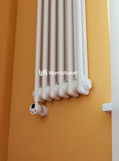 Bareng Softy Electric 2120 - электрический вертикальный двухтрубный трубчатый радиатор высотой 1200 мм