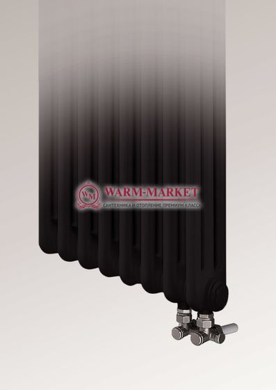Трубчатый радиатор Dia Norm 2057 двухтрубный с нижним правым/левым подключением черного цвета