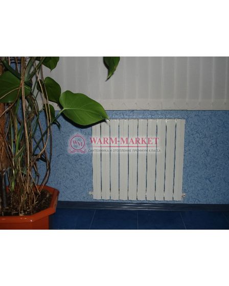 Чугунный радиатор Viadrus Termo 813/95