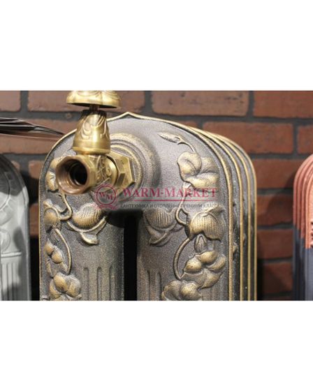 Чугунный радиатор Fakora Art Nouveau 560