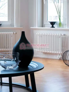 Трубчатый радиатор Zehnder 2030 V002 с нижним подключением