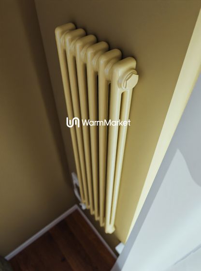 Bareng Softy Electric 2120 - электрический вертикальный двухтрубный трубчатый радиатор высотой 1200 мм