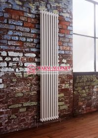 Вертикальный трубчатый радиатор Dia Norm 2180-8 секций, двухтрубный с боковым подключением.
