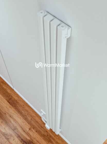 Bareng Tipe VE 1250 - вертикальный электрический трубчатый радиатор высотой 1250 мм