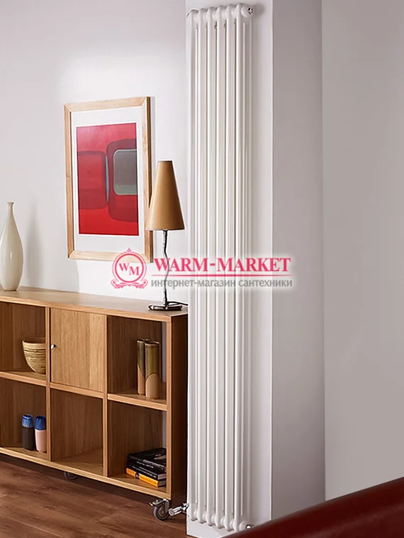 Вертикальный трубчатый радиатор Dia Norm 2180-6 секций, двухтрубный с боковым подключением.