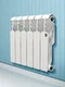 Радиатор Royal Thermo Revolution Bimetall 500 6 секций