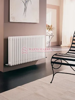 Трубчатый радиатор Irsap Tesi 2 565 №25, двухтрубный нижнее подключение