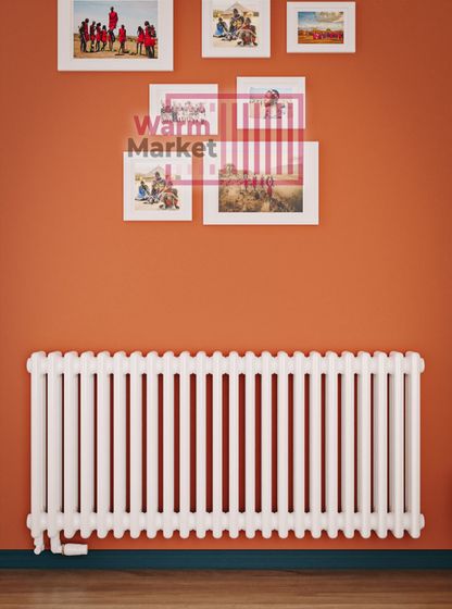 Трубчатый радиатор Solira 3050 N69 нижнее подключение, белый (RAL 9016)