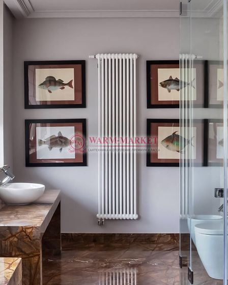 Трубчатый радиатор Arbonia 3200 трехтрубный боковое подключение