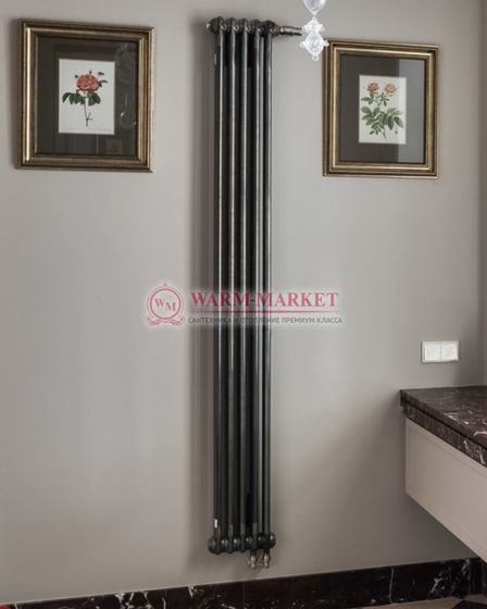 Вертикальный трубчатый радиатор Arbonia 1800 мм высотой, двухтрубный №12 боковое подключение в цвете антрацит