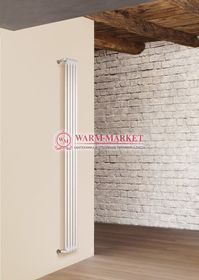 Вертикальный трубчатый радиатор Irsap Tesi RT 21800-4 №30, двухтрубный с боковым подключением.