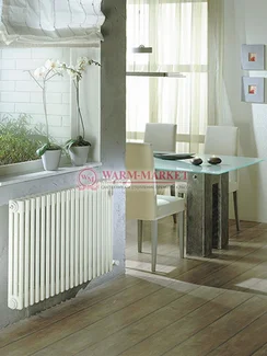 Трубчатый радиатор Zehnder 6075 №1270 с боковым подключением